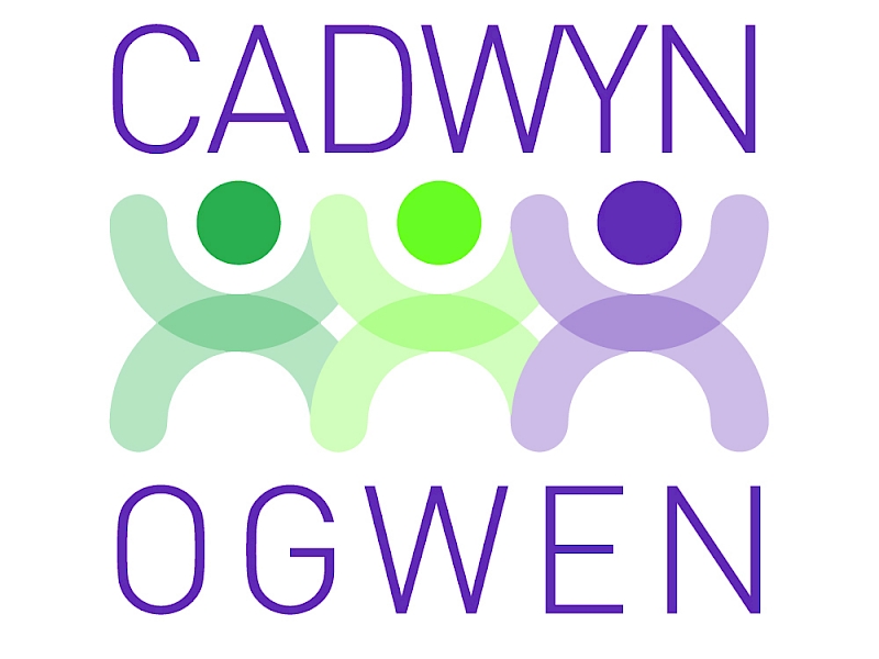 Cadwyn Ogwen