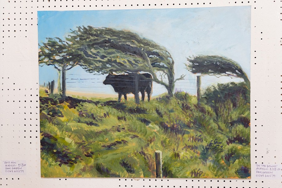 Gallery 2024