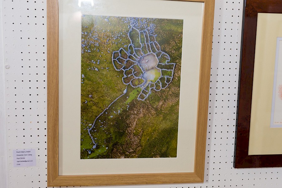 Gallery 2024