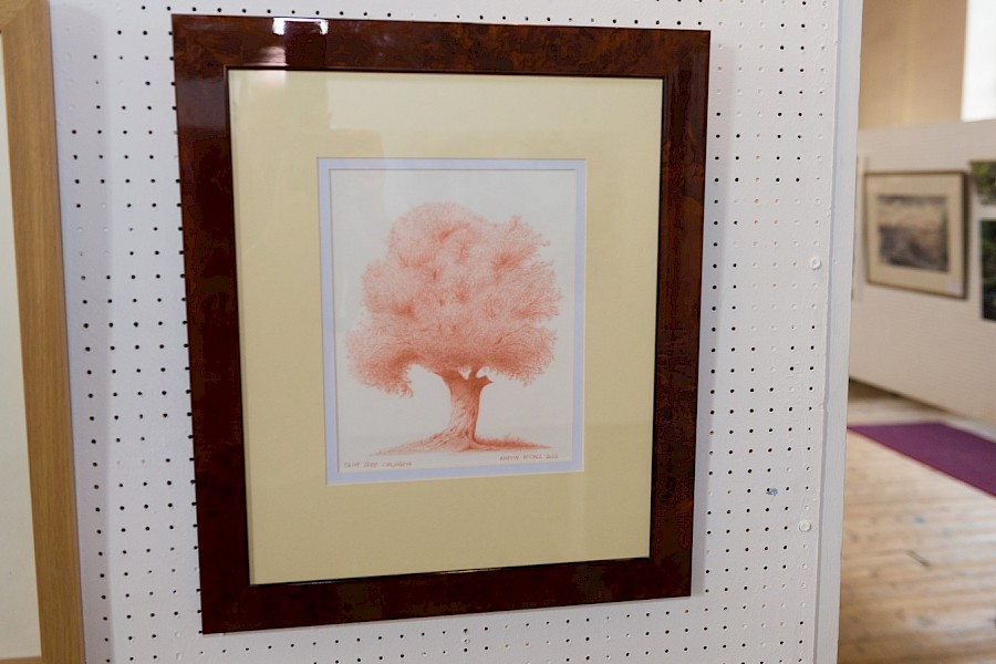 Gallery 2024