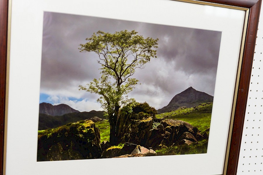 Gallery 2024