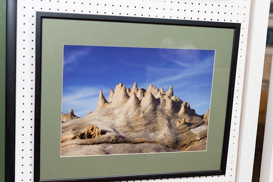 Gallery 2024